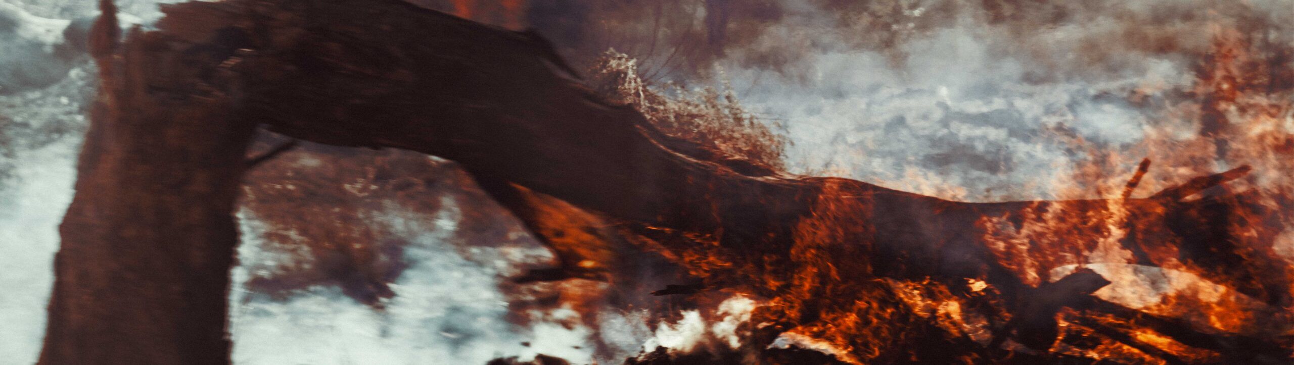 Fallen Burning Tree | Namibia No-17