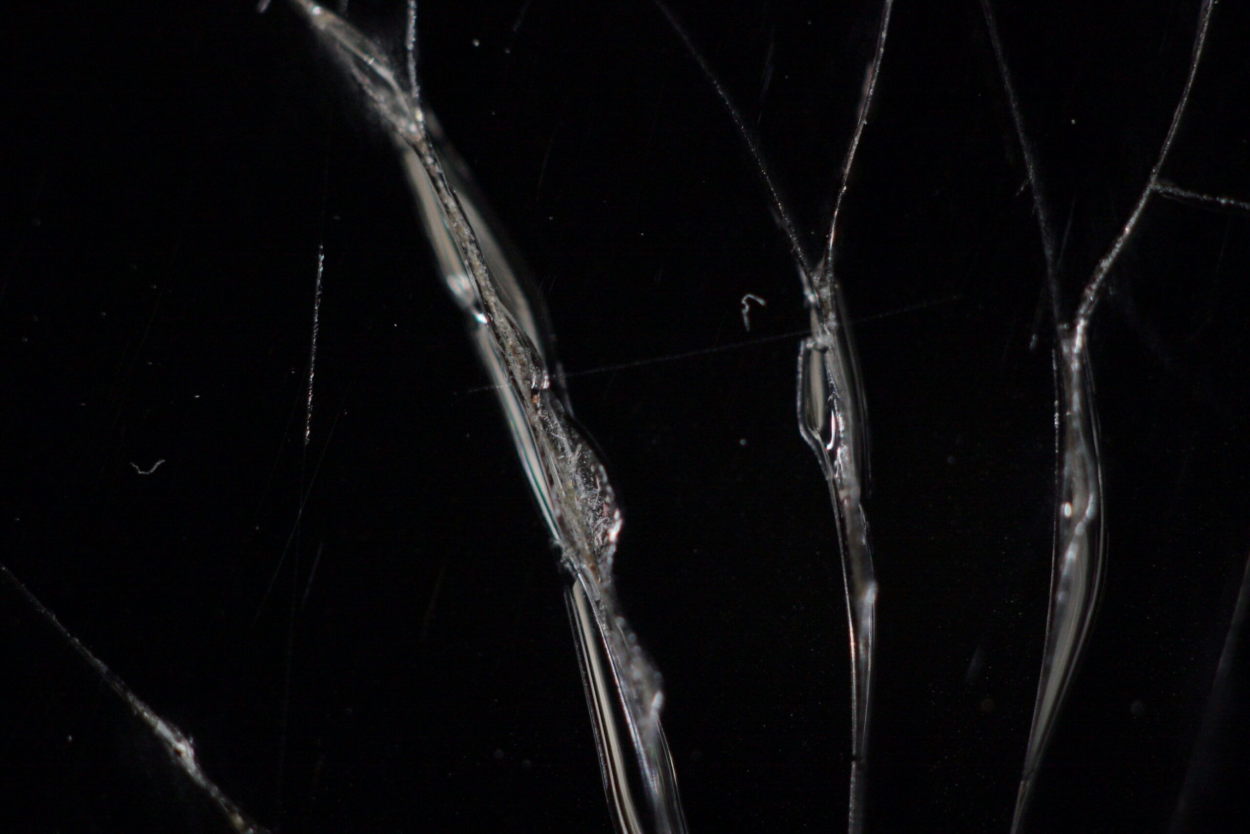 Macro Cracked Screen